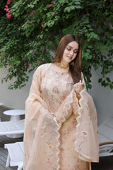 Mintara By Dressline Semi Stitched 3 Piece Aiyudia Formals Collection'2025-mintara-semi-stitched-champagne-veil