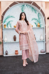 Dressline Al Umer Textile New Stitched Fancy Emb Chikankari Lawn Fancy Emb Organza Dupatta Collection