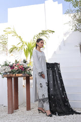 Dressline Launching New Semi Stitched 3 Pcs Emb Chikankari & Laserkari Lawn Collection