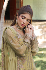 Dressline Semi Stitched 3 Piece Luxury Emb Chiffon Collection