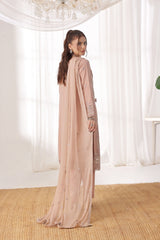 Dressline Fastif Stitched 3 Piece Emb Luxury Chiffon Collection