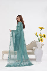 Dressline New Un Stitched 3 Pcs Premium Chikankari Emb Check Lawn Digital Printed Collection