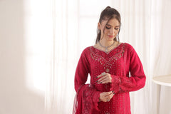 Dressline Fastif Stitched 3 Piece Emb Luxury Chiffon Collection