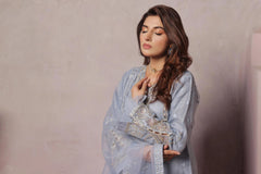 Dressline Dastangoi Unstitched 3 Piece Luxury Emb Organza Collection