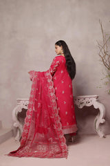 Dressline Dastangoi Unstitched 3 Piece Luxury Emb Organza Collection