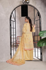 Dressline Salina Emb Sophistication Reimagined Unstitched Chikankari & Cutwork Bana Dora Lawn With Diamond Digital Dupatta & Dyed Cambric Trousers