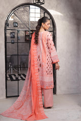 Dressline Salina Emb Sophistication Reimagined Unstitched Chikankari & Cutwork Bana Dora Lawn With Diamond Digital Dupatta & Dyed Cambric Trousers