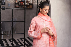 Dressline Salina Emb Sophistication Reimagined Unstitched Chikankari & Cutwork Bana Dora Lawn With Diamond Digital Dupatta & Dyed Cambric Trousers