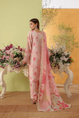 Dressline Noray Stitched 3 Piece Luxury Emb Pp Staple Collection