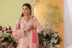 Dressline Noray Stitched 3 Piece Luxury Emb Pp Staple Collection