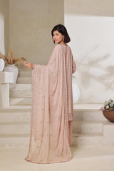 Dressline Zeva Festive Elegance Redefined Stitched 3 Piece Hand-Emb Chiffon
