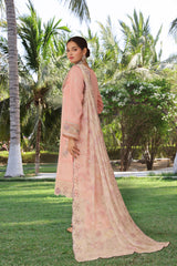 Dressline Hayam Ready-To-Wear 3 Piece Premium Heavy Chikankari Emb Bana Dora Lawn Collection