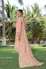 Dressline UnStitched 3 Piece Premium Heavy Chikankari Emb Bana Dora Lawn Collection