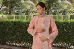 Dressline UnStitched 3 Piece Premium Heavy Chikankari Emb Bana Dora Lawn Collection