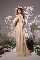 Dressline UnStitched 3 Piece Premium Heavy Chikankari & Laserkari Emb Bana Dora Lawn Collection