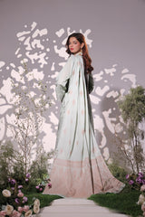 Dressline UnStitched 3 Piece Premium Heavy Chikankari & Laserkari Emb Bana Dora Lawn Collection