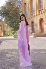 Dressline Basant Stitched Luxury Emb Banadora Lawn Collection With Chiffon Dupatta & Emb Cotton Trousers