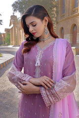 Dressline Basant Stitched Luxury Emb Banadora Lawn Collection With Chiffon Dupatta & Emb Cotton Trousers