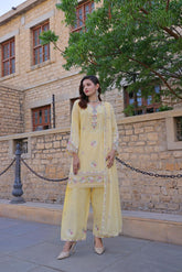 Dressline Basant Stitched Luxury Emb Banadora Lawn Collection With Chiffon Dupatta & Emb Cotton Trousers