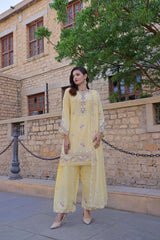 Dressline Basant Stitched Luxury Emb Banadora Lawn Collection With Chiffon Dupatta & Emb Cotton Trousers