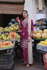 Dressline Basant Stitched Luxury Emb Banadora Lawn Collection With Chiffon Dupatta & Emb Cotton Trousers