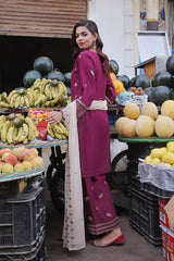 Dressline Basant Stitched Luxury Emb Banadora Lawn Collection With Chiffon Dupatta & Emb Cotton Trousers