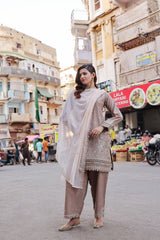 Dressline Basant Stitched Luxury Emb Banadora Lawn Collection With Chiffon Dupatta & Emb Cotton Trousers