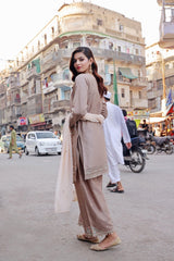 Dressline Basant Stitched Luxury Emb Banadora Lawn Collection With Chiffon Dupatta & Emb Cotton Trousers