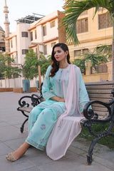 Dressline Basant Stitched Luxury Emb Banadora Lawn Collection With Chiffon Dupatta & Emb Cotton Trousers