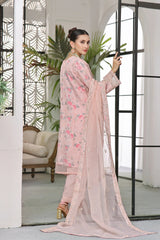 Dressline Semi Stitched 3 Pc Emb Luxury Organza Clutches Collection