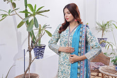 Dressline Launching New Stitched 3 Piece Emb Print Lawn Collection