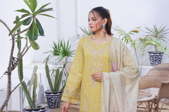 Dressline Launching New Stitched 3 Piece Emb Lawn Jacquard With Munnar Dupatta Collection