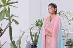 Dressline Launching New Stitched 3 Piece Emb Lawn Jacquard With Munnar Dupatta Collection