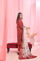 Dressline Launching New Stitched 3 Piece Emb Print Lawn Collection