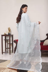 Abeeha By Dressline Stitched 3 Piece Organza Formals Collection'2025-abeeha-ltblue
