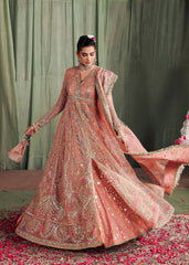 Veere Di Wedding By Sardinia Unstitched 3 Piece Collection-MEHARMA