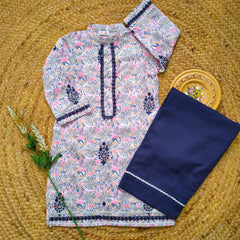 Hiba Fashion Pink and Blue Embroidered 2 pcs festive dress-(FSE-001)