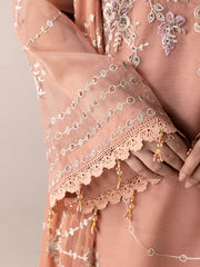 AURAPRET By Zebtan Stitched 3 Piece Luxury Formals Collection'2026-Aurapret-04 | 3 Piece Embroidered Organza Suit