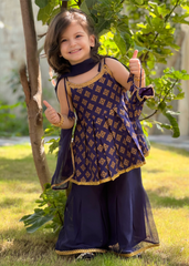 Modest Stitched 3 Piece Festive Formals Vol-02 Suit-11270-Blu