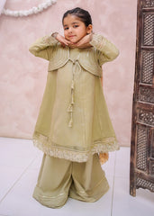 Modest Stitched 3 Piece Eid Edit Vol-02 Suit-10610-Grn