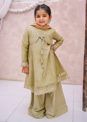 Modest Stitched 3 Piece Eid Edit Vol-02 Suit-10610-Grn