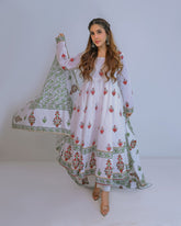 Ayla Studio Stitched Luxury Collection'2025-Asbp- 101 Dobby Spring 3Pcs