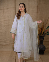 Ayla Studio Stitched Luxury Collection'2025-Asbp-104 Dobby Spring 3Pcs