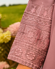 Noor E Rang by Ayla Studio Stitched 2 Piece Summer Collection'2025-Shabnam