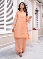 Women Dress