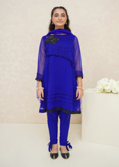 Modest Stitched 3 Piece Luxury Formals Collection'2025-Nayab
