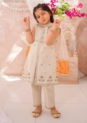 Modest 3 Pc Cotton Lawn Embroidered Suit