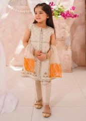 Modest 3 Pc Cotton Lawn Embroidered Suit