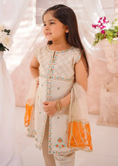 Modest 3 Pc Cotton Lawn Embroidered Suit