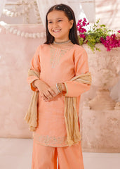 Modest Cotton Lawn Embroidered 3 Pc Suit
